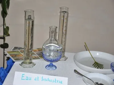 Restitution des Mini-mémoires :Groupe BRAVO : « L'Eau est un besoin vital et profitable : cas de Mcar », photo 3